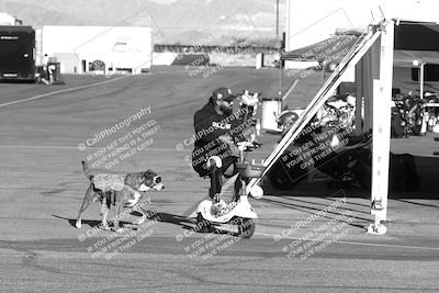 media/Feb-23-2025-2WTD (Sun) [[9604a77d5d]]/1-Around the Pits/